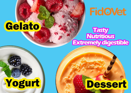 Pamper Your Pup with Fidovet’s Delicious and Healthy Fresh Gelato & Yogurt!
