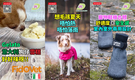 The Mills Weekend Fair 暑假彈起市集