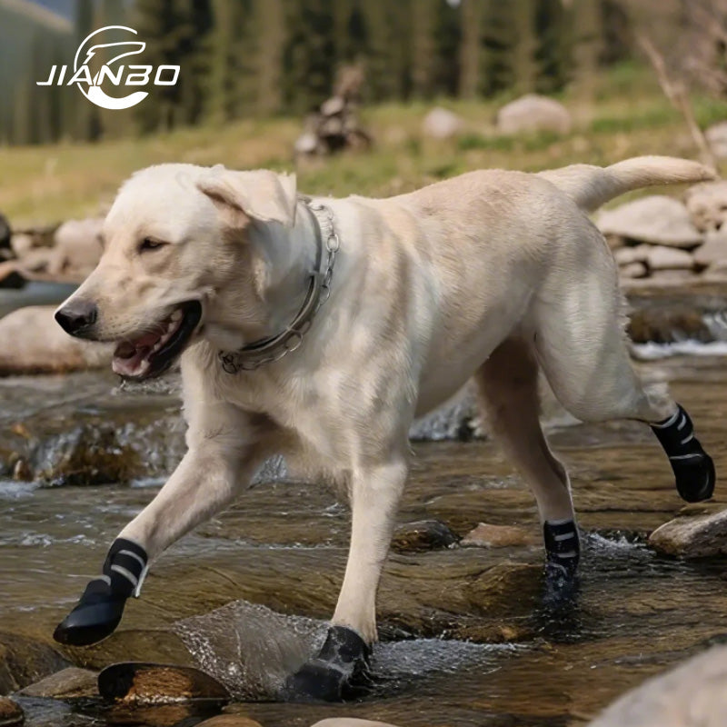 POD Waterproof Sports Shoes