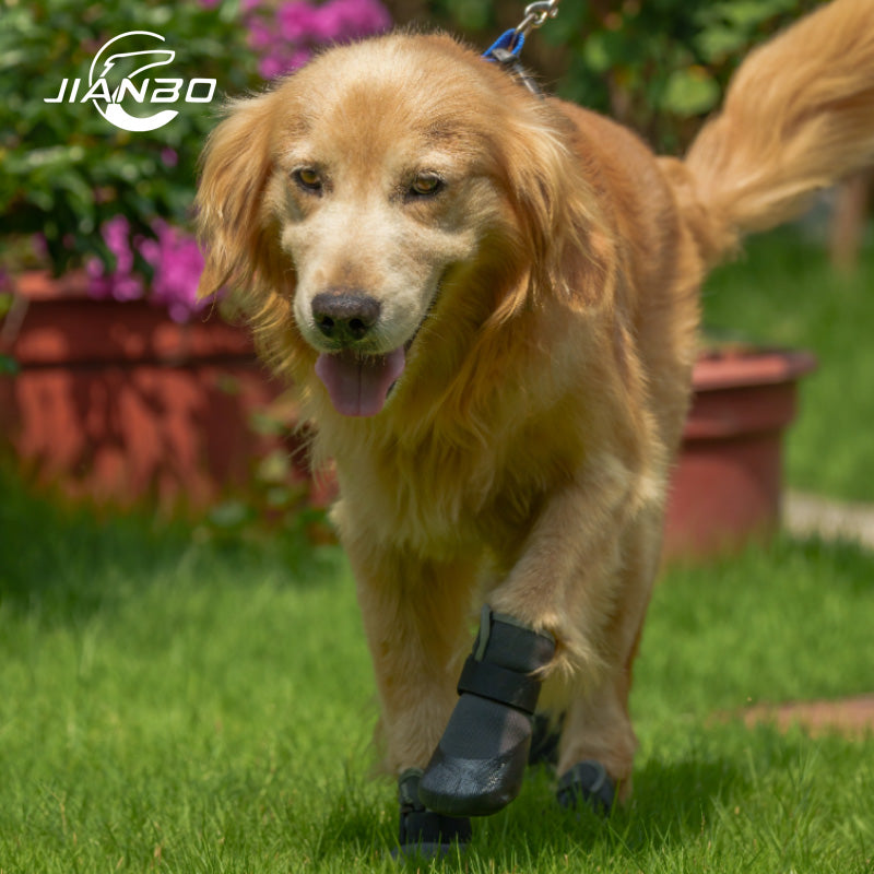 POD Air Paws Shoes