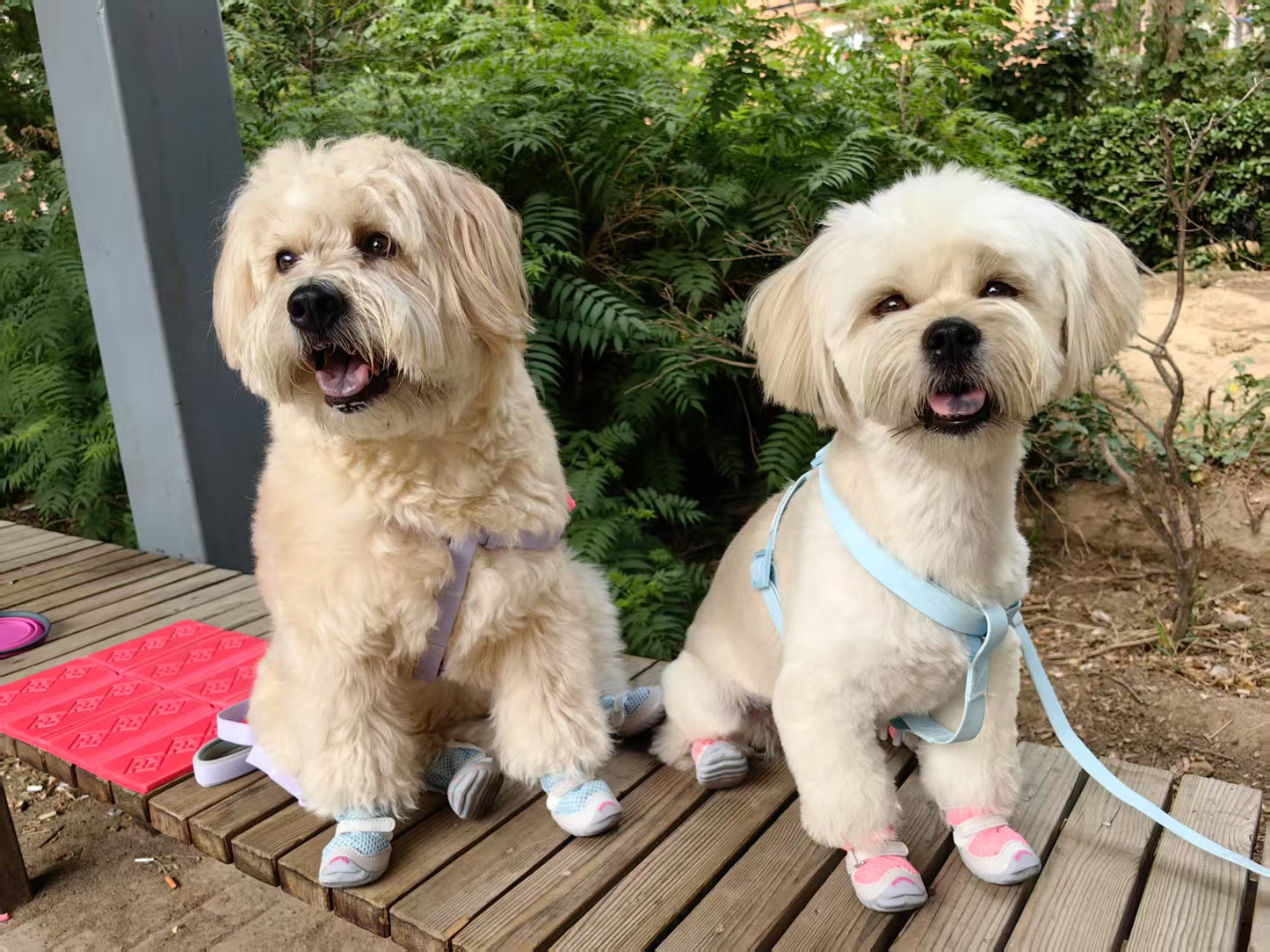 Fokwow Summer Mesh Shoes