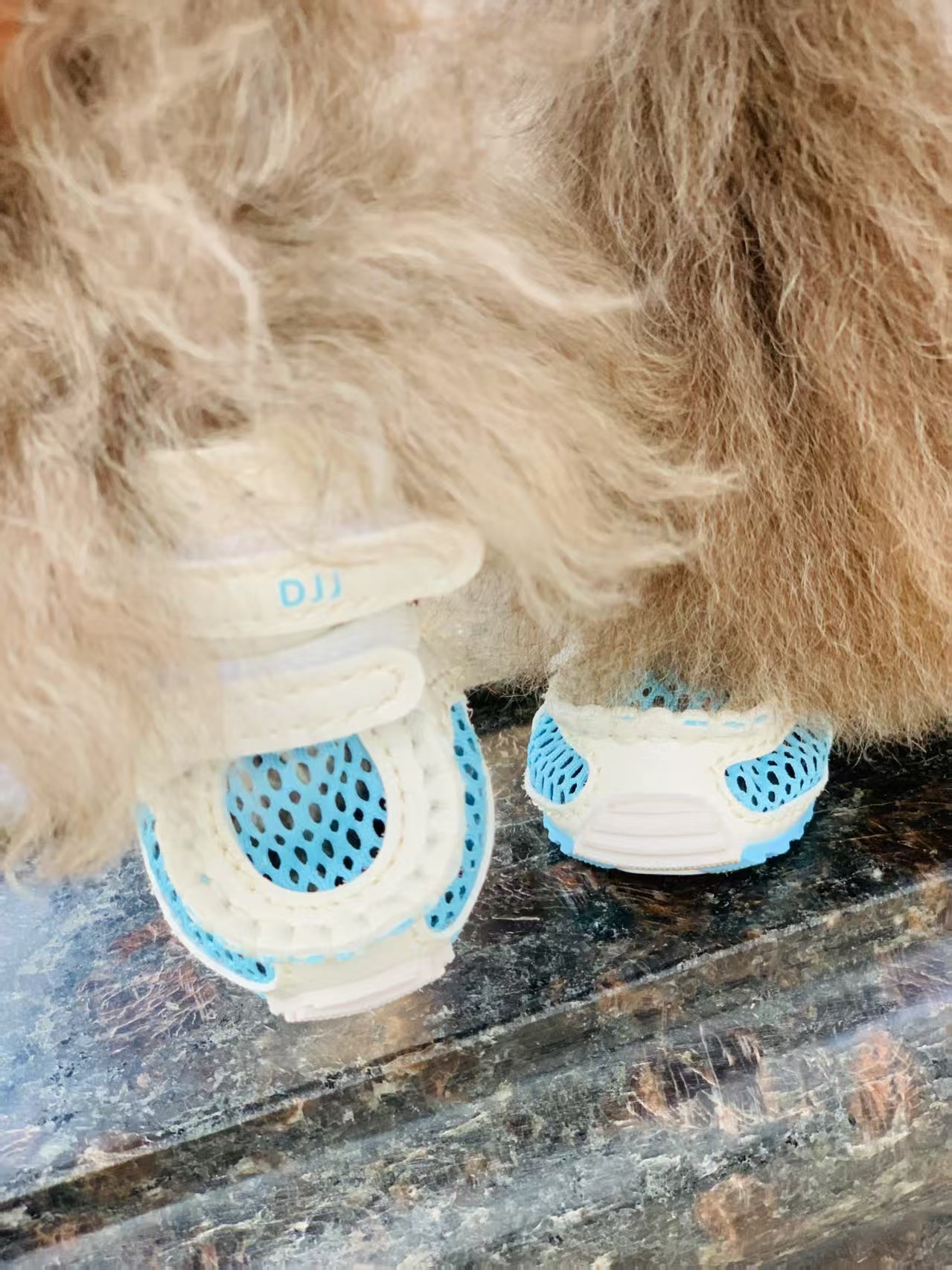 DJJ Summer Mesh shoes