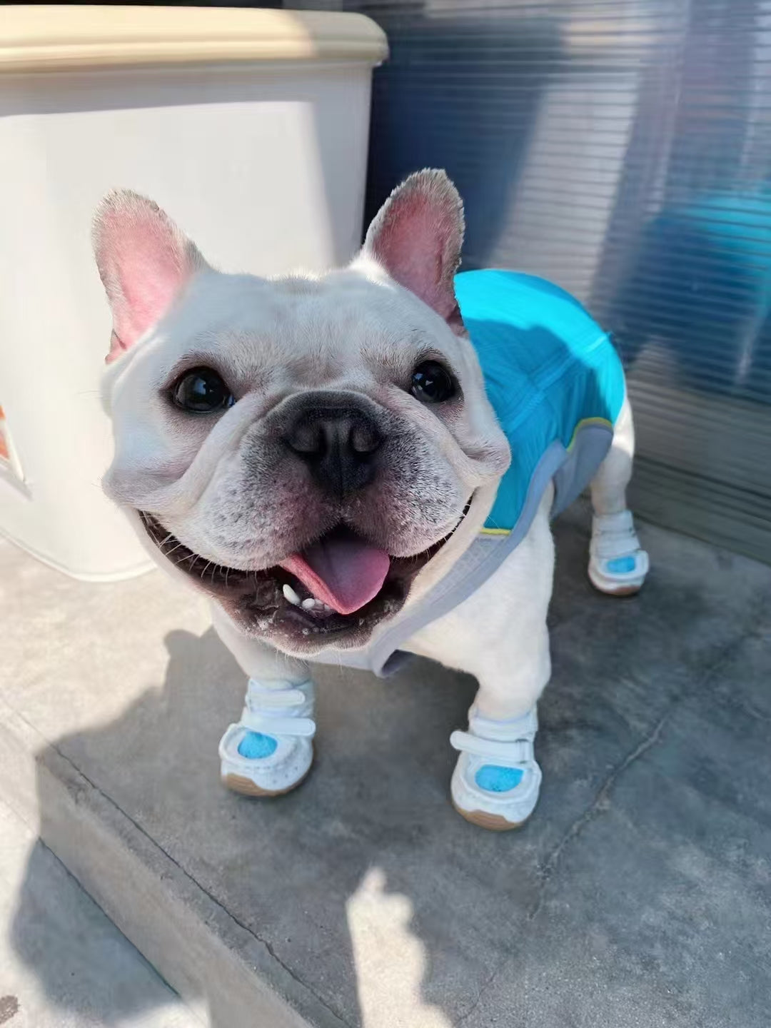 DJJ Summer Mesh shoes