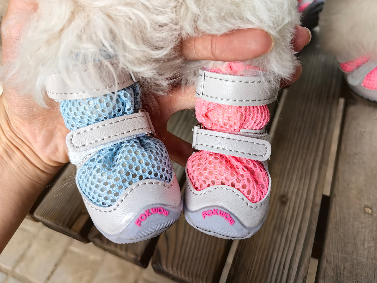 Fokwow Summer Mesh Shoes