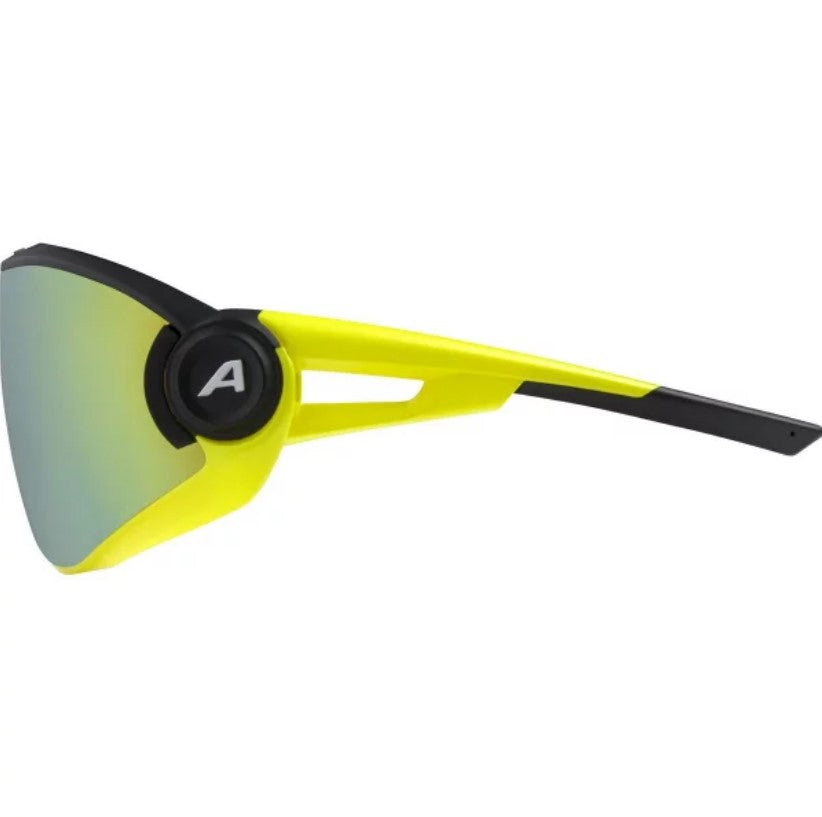 ALPINA 5W1NG Q+CM Sport Sunglasses