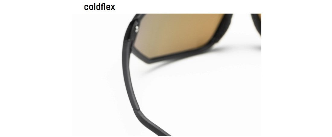 ALPINA 5W1NG Q+CM Sport Sunglasses