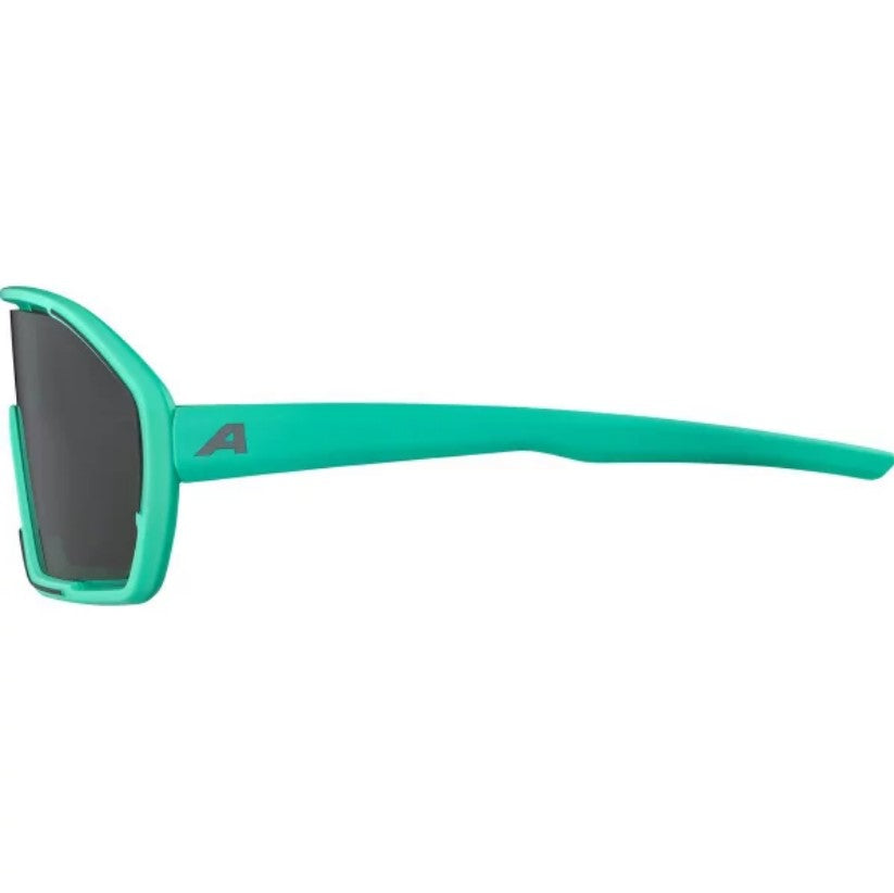 ALPINA BONFIRE Sports Sunglasses