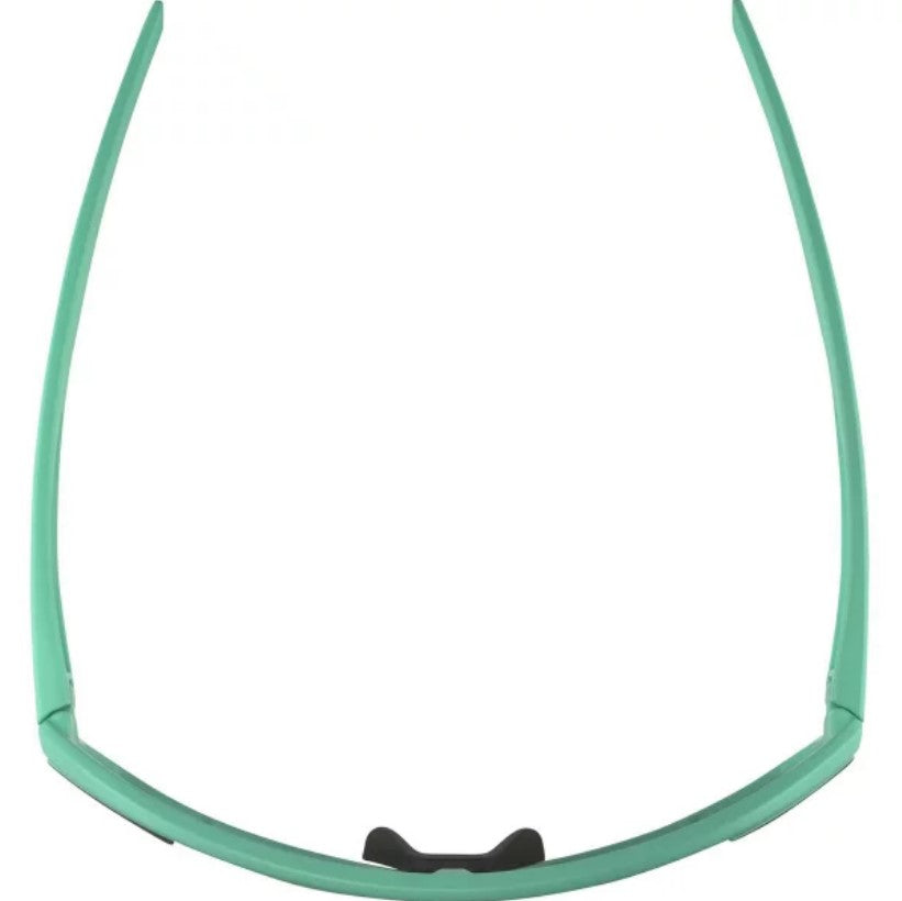 ALPINA BONFIRE Sports Sunglasses
