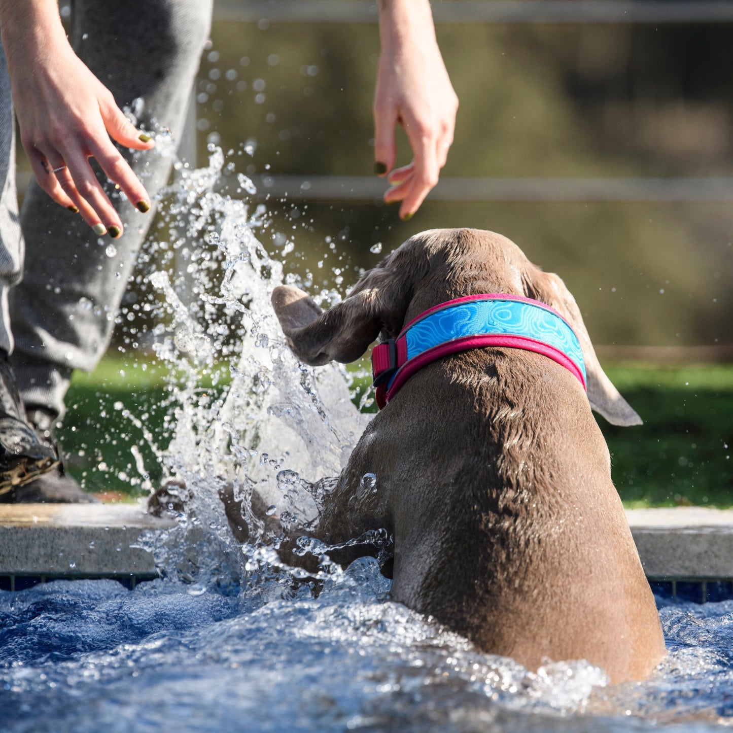 Freedog Cool Pro Tech Collar