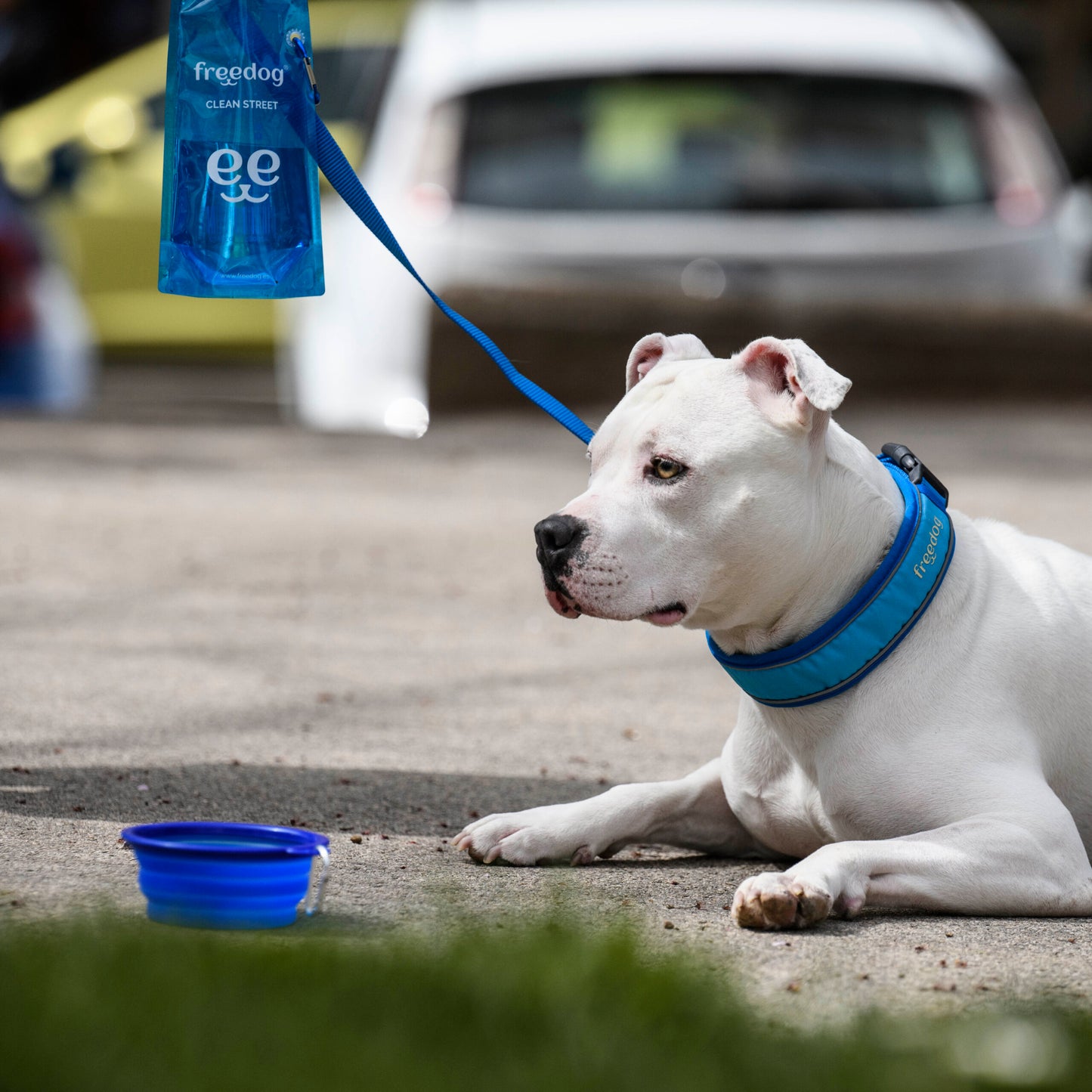 Freedog Cool Pro Tech Leash