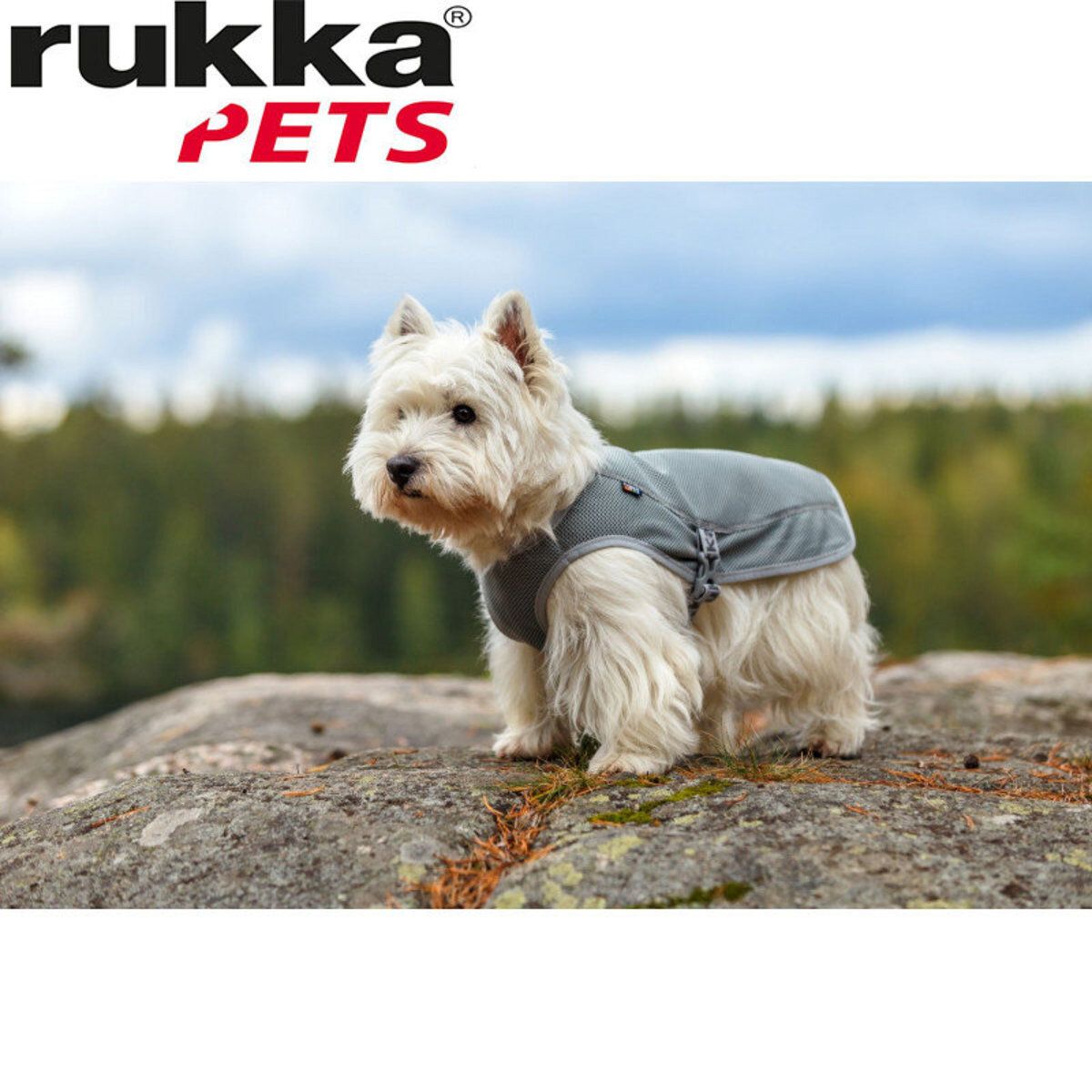 Rukka Pets Cooling 散热背心 灰色