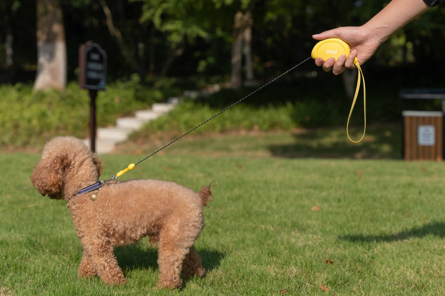 POD Mini Size Mango Pet Leash