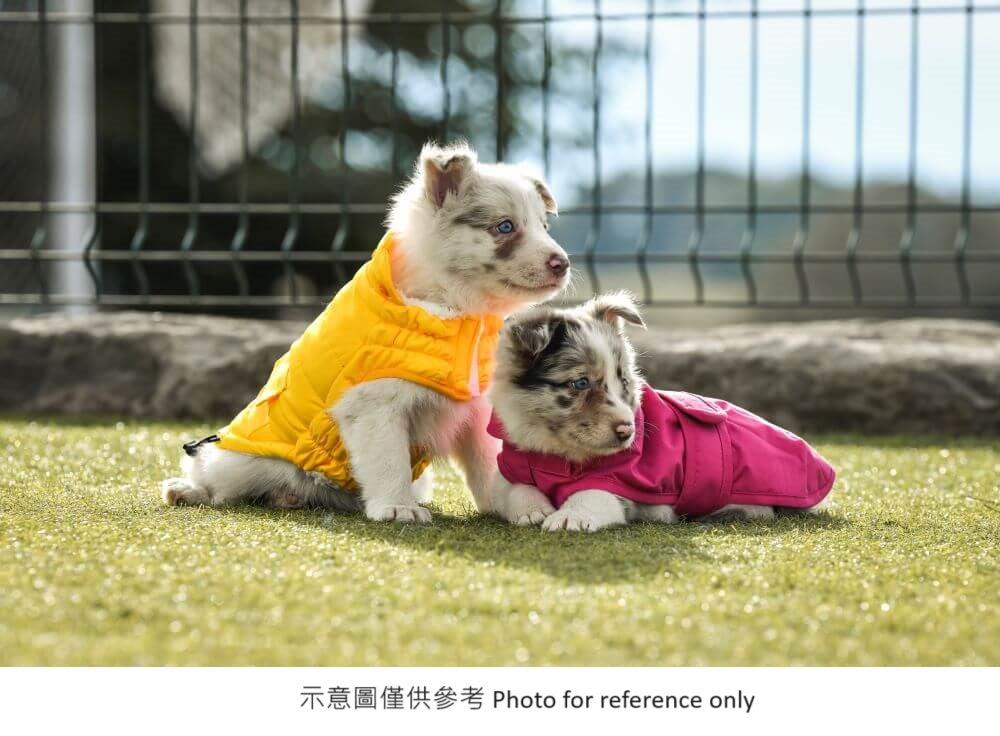Freedog ECO Pooch Coat