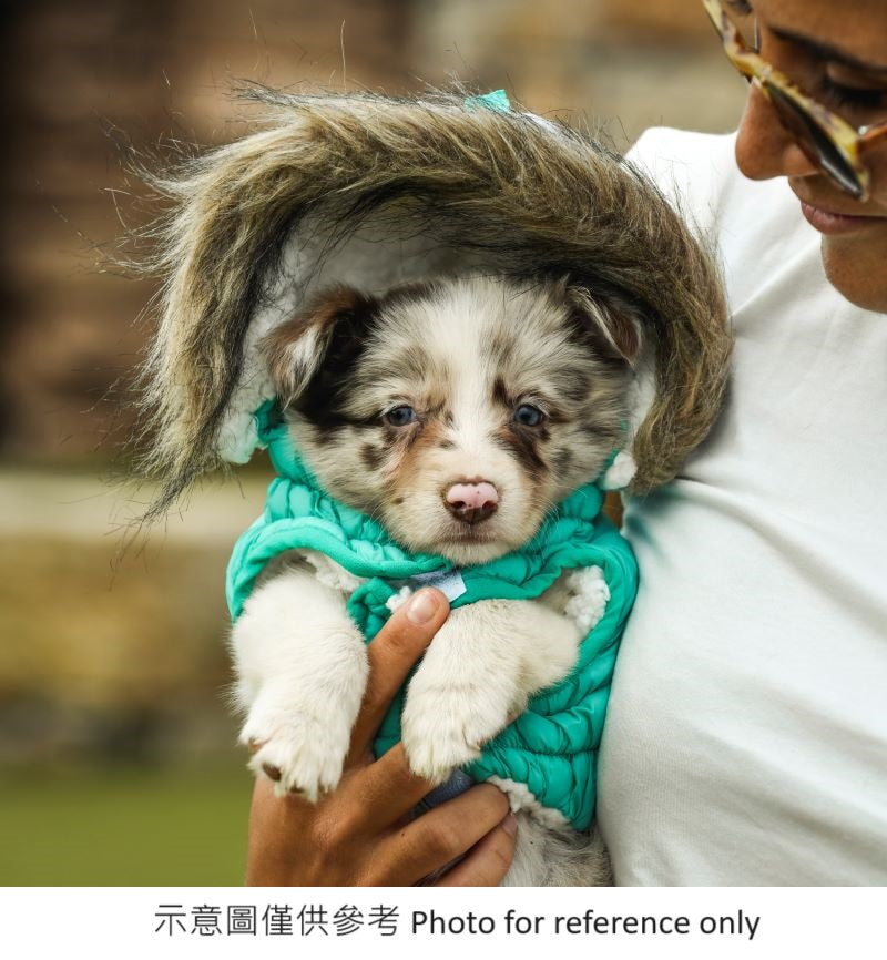 Freedog ECO Pooch Coat