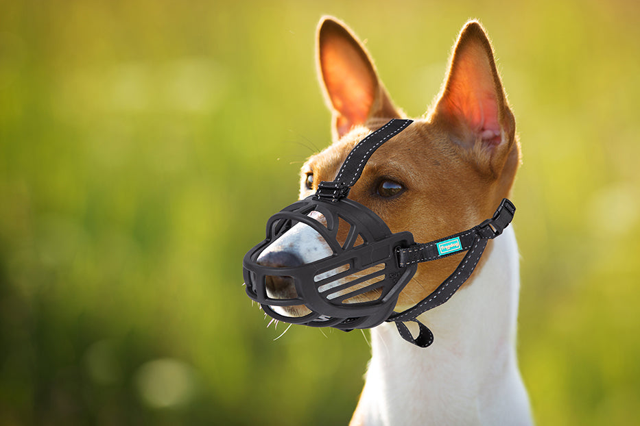 Freedog Ergo Plus 口罩