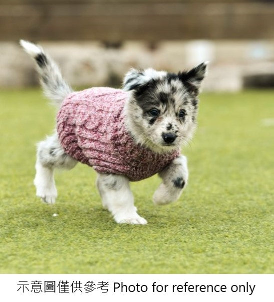 Freedog ECO Himalaya 环保毛衣