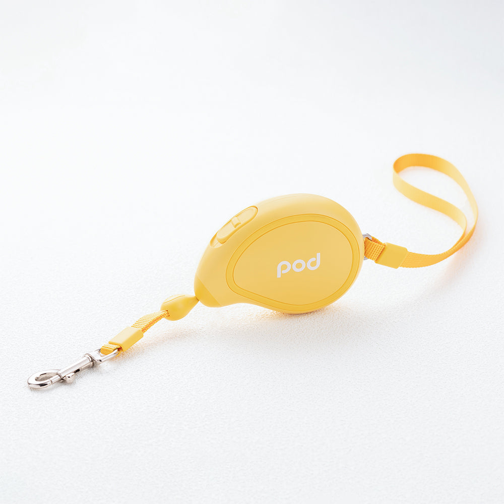 POD Mini Size Mango Pet Leash