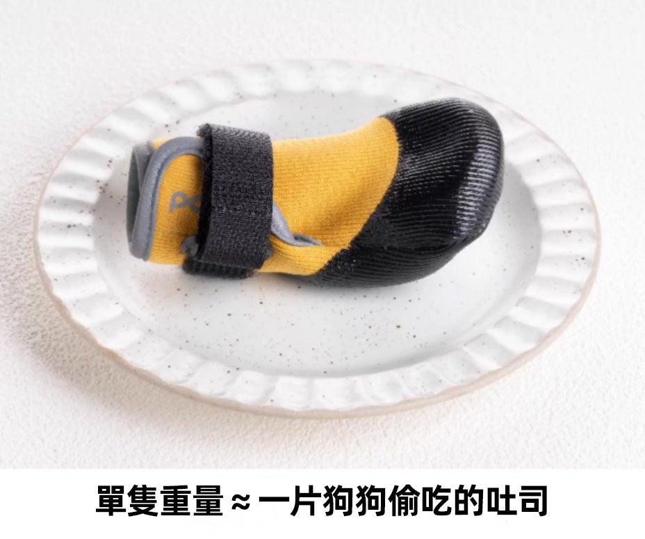 POD Air Paws Shoes