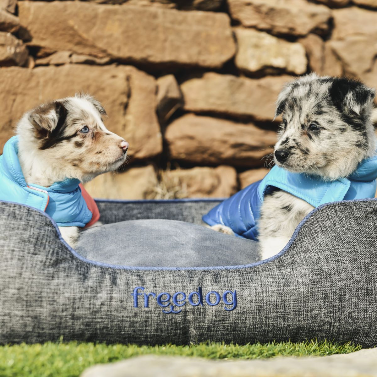 Freedog Pup Hound 外套
