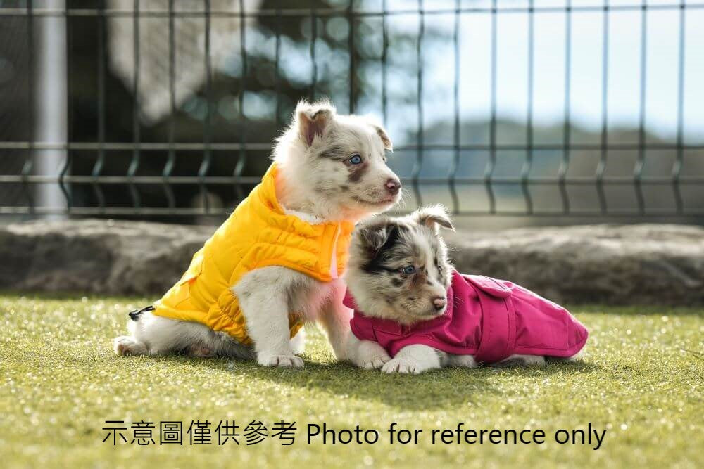 Freedog Paw Shield 寵物雨衣
