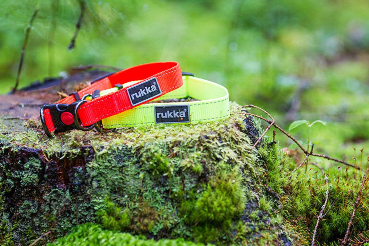 Rukka Pets Bliss Neon Adjustable Collar