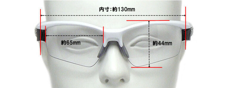 SWANS Sunglasses LI SIN 0066