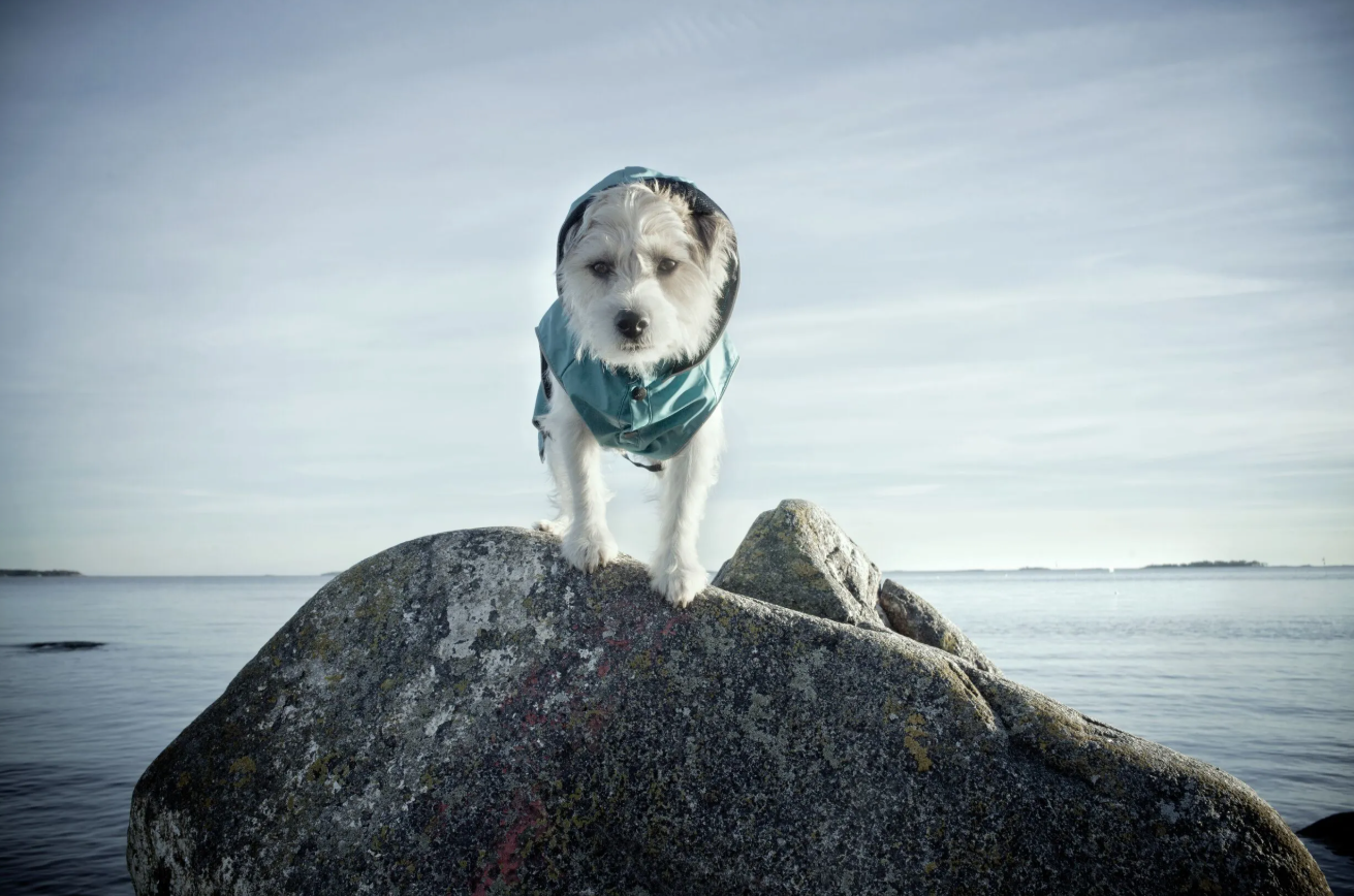 Rukka Pets Stream Raincoat