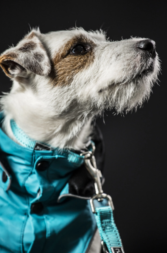 Rukka Pets Stream Raincoat