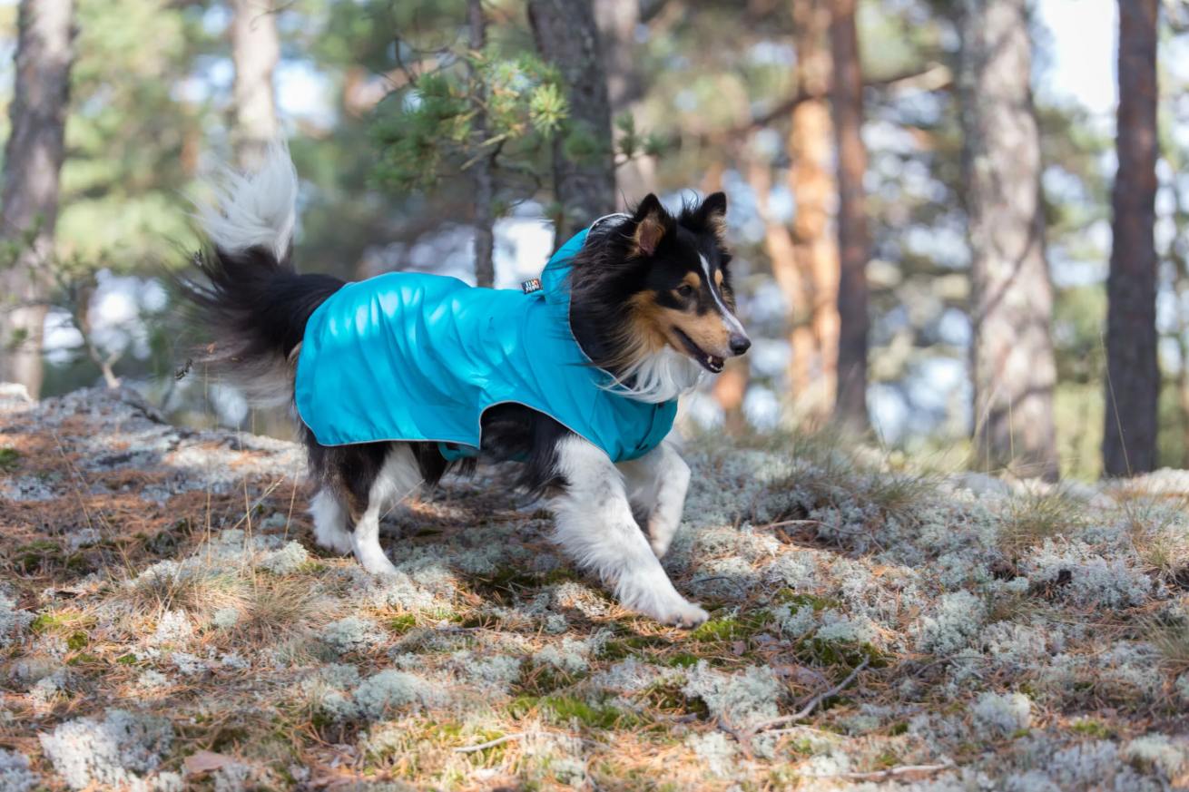 Rukka Pets Stream Raincoat