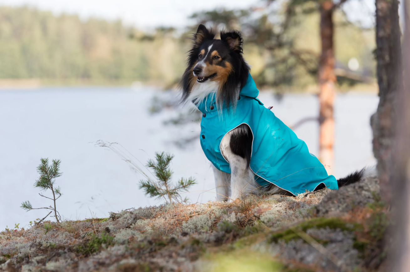 Rukka Pets Stream Raincoat