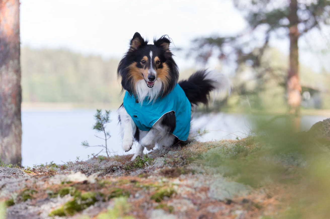 Rukka Pets Stream Raincoat