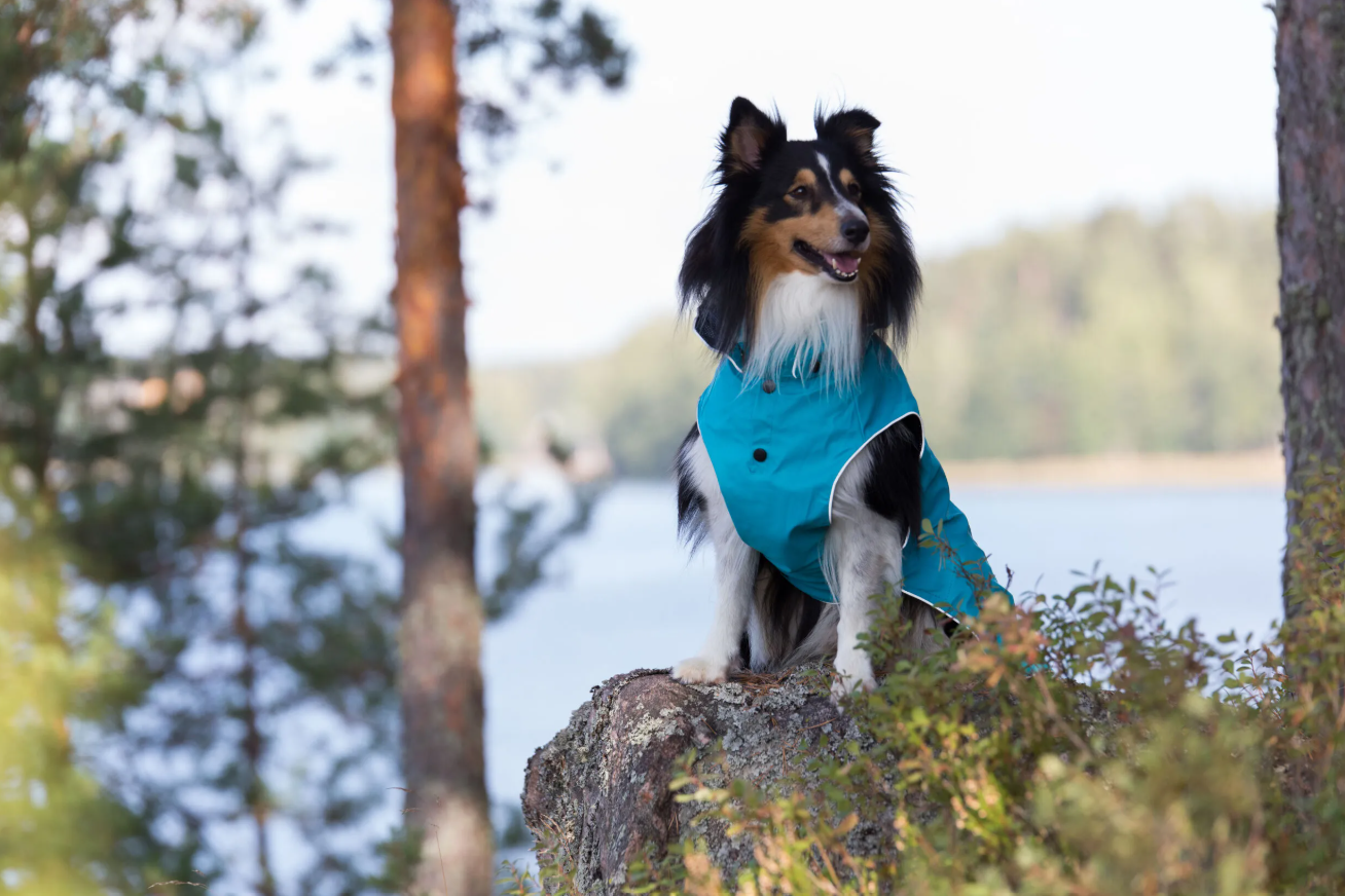 Rukka Pets Stream Raincoat