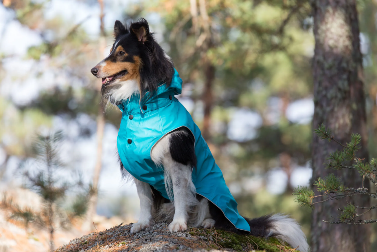 Rukka Pets Stream Raincoat