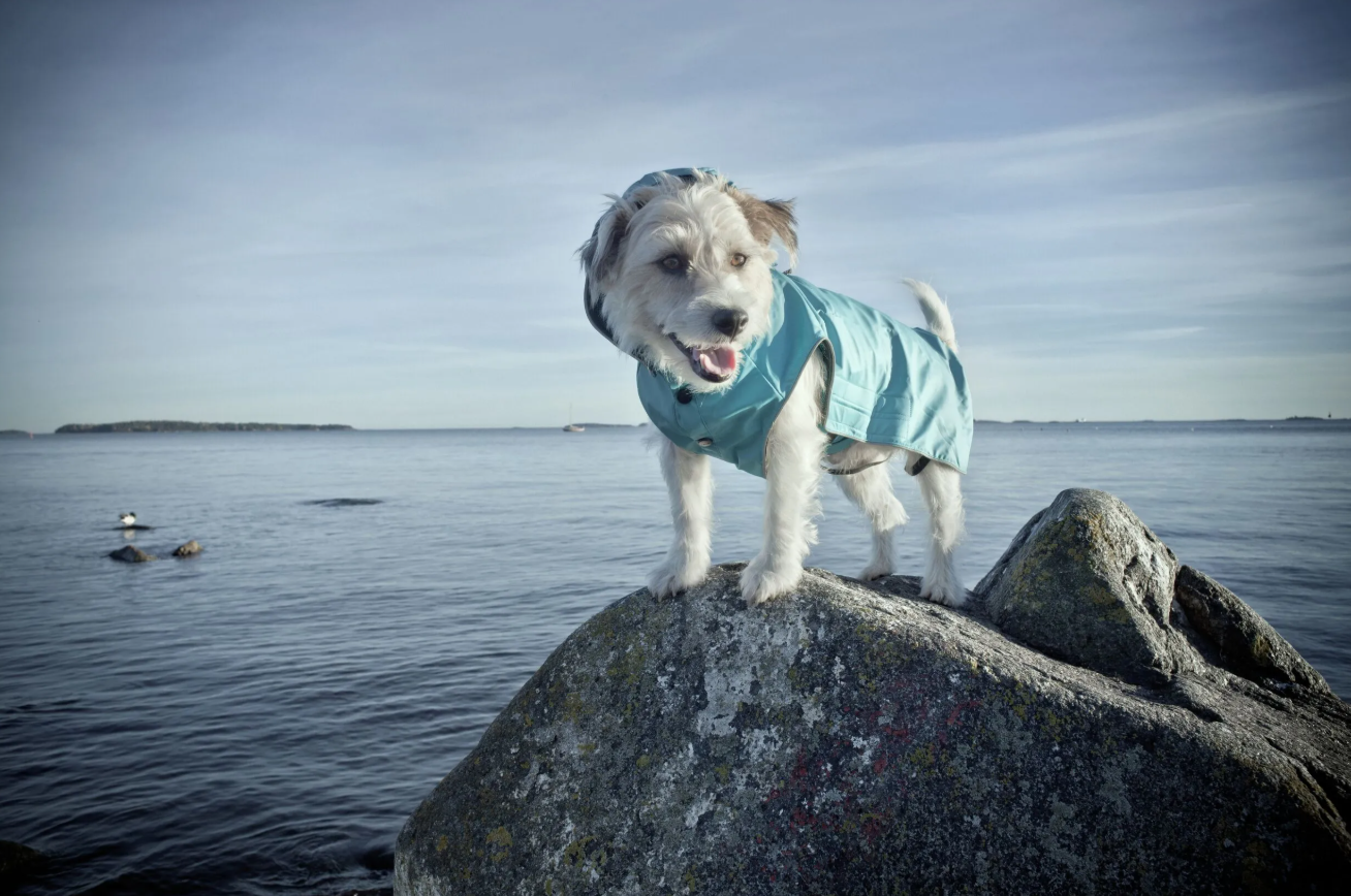 Rukka Pets Stream Raincoat