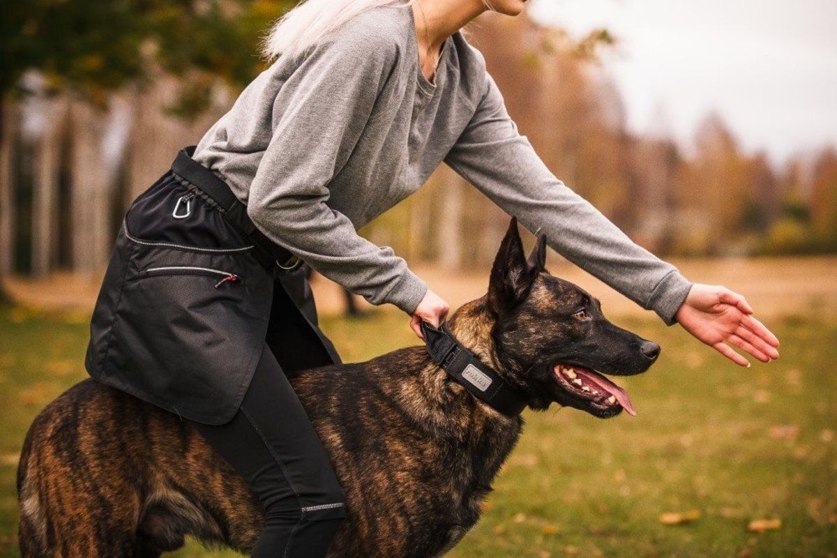 Rukka Pets TRAINING APRON BLACK 2.0