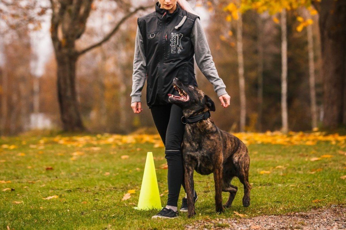 Rukka Pets Training Vest Black