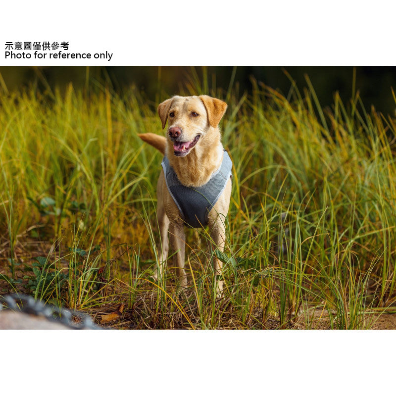 Rukka Pets Cool 散热背心<br data-mce-fragment="1">