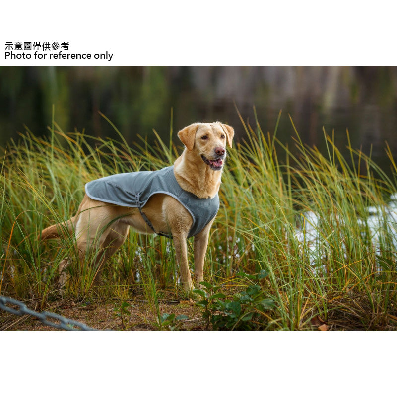 Rukka Pets Cool 散热背心<br data-mce-fragment="1">