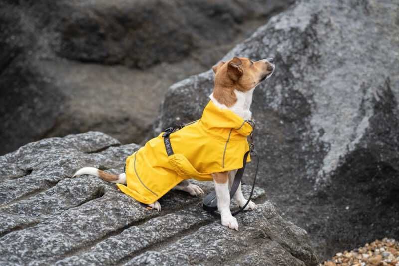 Rukka Pets Hayton ECO 环保宠物雨衣