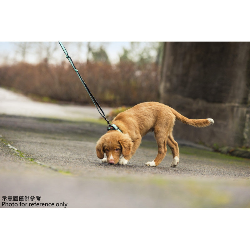 Rukka Pets Solid 多用途宠物牵引绳