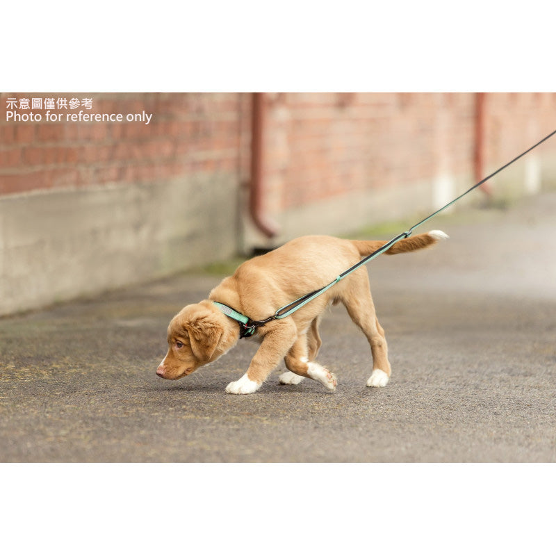 Rukka Pets Solid 多用途宠物牵引绳