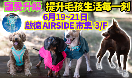 Elevating Care. Enriching Every Moment for Pets - AIRSIDE “Japan Summer Festival Hong Kong” Carnival Weekend Market