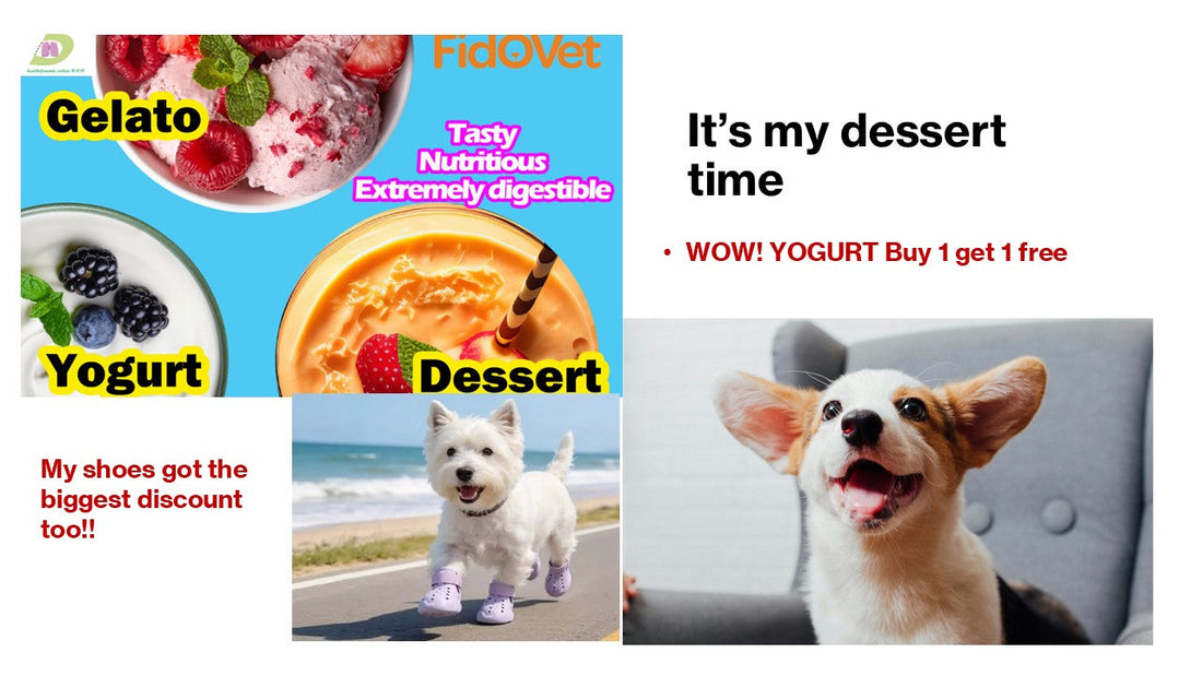 Yogurt Buy 1 Get 1 Free – Yummy! 乳酪買一送一，好抵呀！