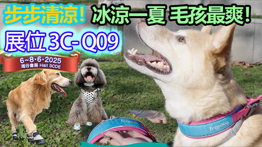 Premium Pet Supplies Expo 2025 with Special Exclusive Deals!