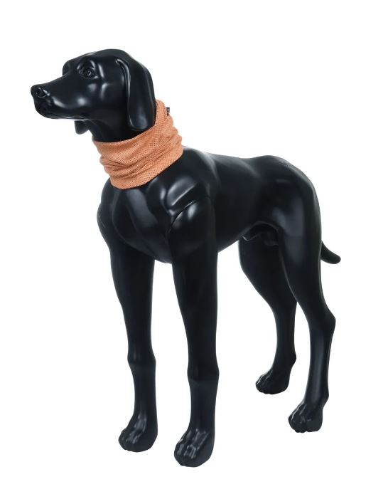 Rukka Pets 寵物清涼圍巾