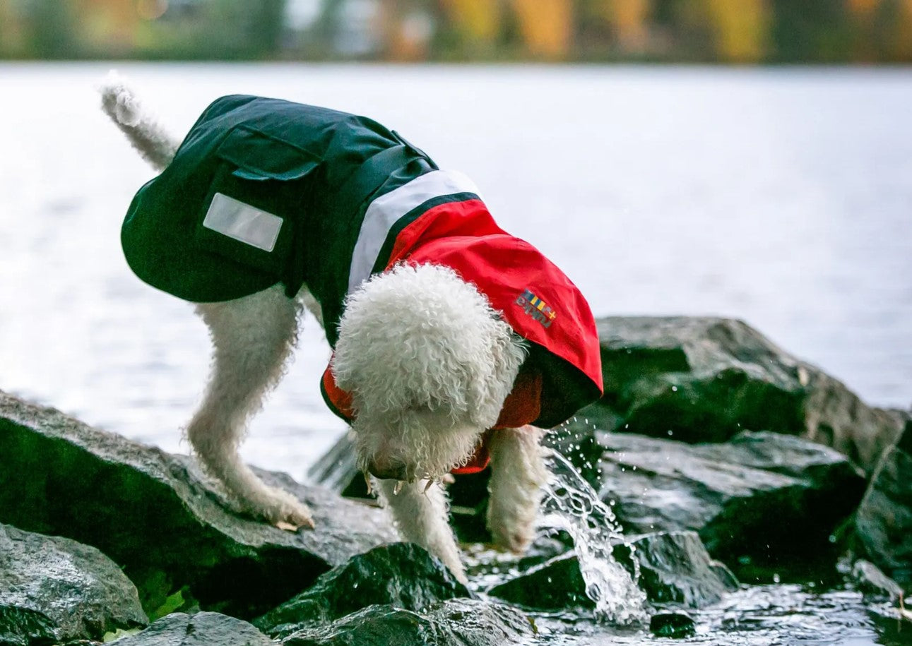 Rukka Pets Wavy Raincoat Chili