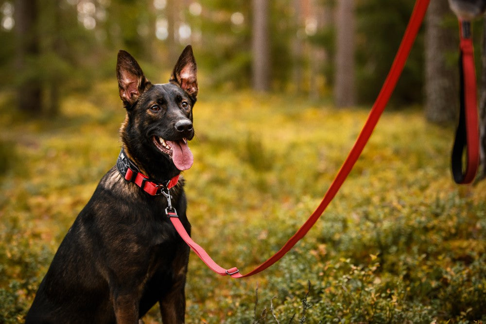 Rukka Pets Cube Soft Collar