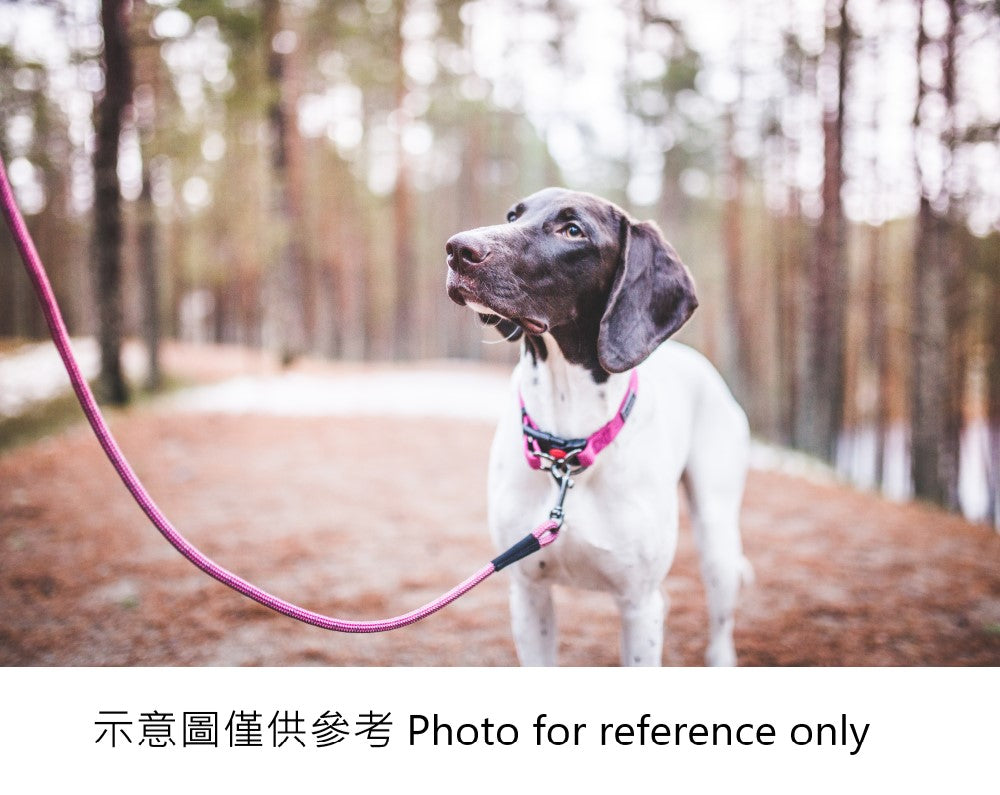 Rukka Pets Mini Comfort牵引绳