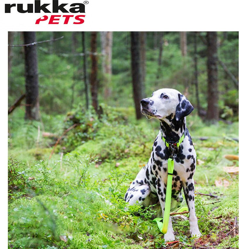 Rukka Pets Bliss 可調節螢光色寵物牽引繩<br data-mce-fragment="1">