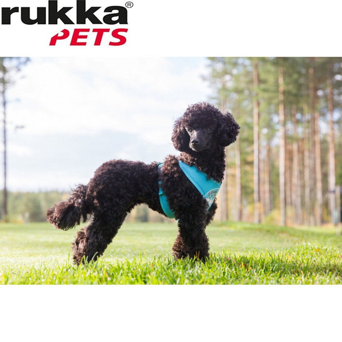 Rukka Pets Comfort FLASH束衣束带